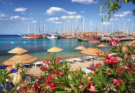 Beach and port in a small town - summer, beautiful, beach, rest, ocean, umbrellas, fresh, ships, view, small, pier, nature, colorful, exotic, port, flowers, dock, sun, shore, blue, sky, sunny, town, coast, nice, clouds, sands, lovely, sea, boats