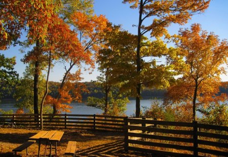 Let's have a picnic - nice, autumn, trees, riverbank, water, bench, fall, river, holiday, grass, relax, fence, lake, picnic, park, shore, lovely, country, nature, beautiful, rest