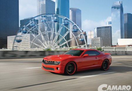 camaro - zl1, chevrolet, ss, camaro