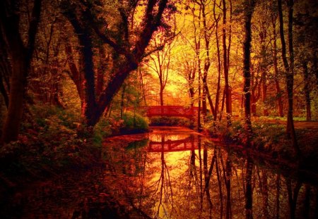 autumn - river, nature, autumn, park, brigd