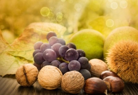 Natures Harvest - harvest, food, leaves, filberts, apples, chestnuts, fruit, bokeh, nuts, acorns, gold, pear, fall, grapes, green, autumn, walnuts