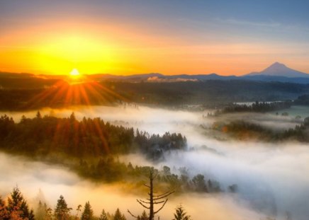 SUNSET IN THE VALLEY - firs, forests, trees, rain, sun, valleys, mountains, mist, clouds, sunsets, fog, horizons, moisture