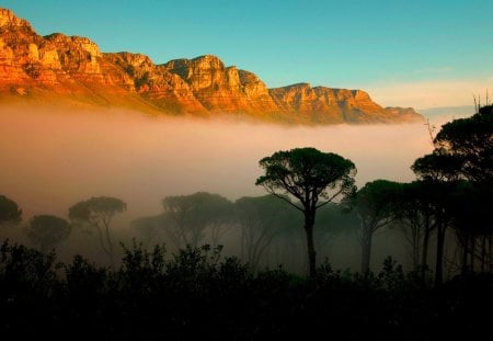 FOGGY MORNING - forest, mountains, morning, landscape, mist, dawn