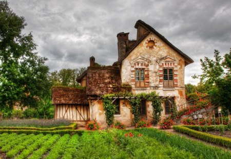 Old House - sky, houses, trees, colorful, nature, beautiful, clouds, architecture, flowers, old, garden