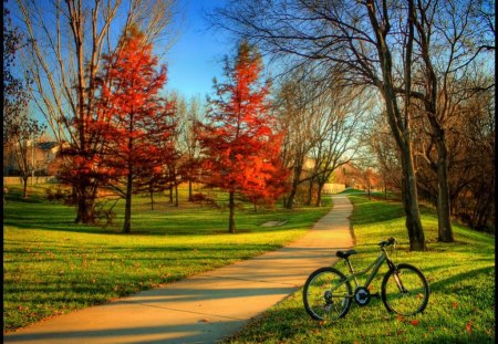 Cycling in the park - trees, sunny, summer, sutumn, beautiful, grass, forest, lovely, alleys, cycling, colorful, garden, nice, sky, park