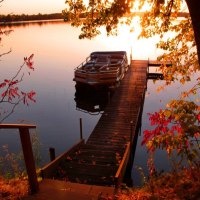 Up at the lake