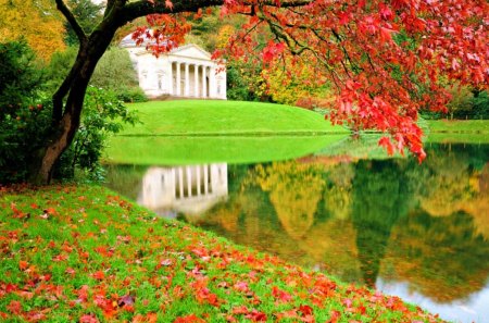 Autumn Carpet - pretty, autumn colors, splendor, landscape, grass, reflection, leaves, view, autumn splendor, lake, tres, water, beautiful, beauty, lovely, tree, carpet of leaves, nature, green, autumn, autumn leaves, peaceful