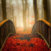 Autumn bridge