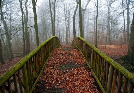 Autumn bridge - relax, pretty, calm, sunny, garden, bench, nice, pond, lanterns, mirrored, colors, pleasure, fall, nature, autumn, green, warm, forest, reflection, walk, alleys, leaves, sit, lake, falling, branches, trees, water, beautiful, lovely, rest, colorful, peaceful, bridge, park, foliage