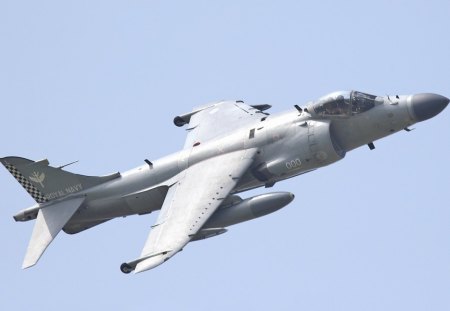 BAe Sea Harrier - Royal Navy - sea harrier, royal navy, naval aircraft, bae