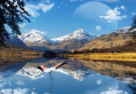 moon reflection in a lake - moon, lake, fantasy, crane