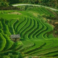 Terraced Fields in Huanglong