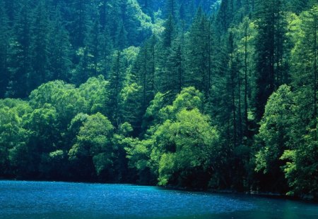 Mirror Lake - nature, valley, china, scenic, landscape