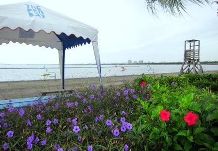 Beach - flowers, beach, sea, pedalo, lifeguard observation deck