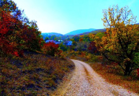 FOREST ROAD - nature, autumn, beauty, the village, forest