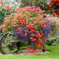 flower carriage