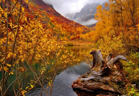 Autumn mountain river - calm, falling, beautiful, creek, stream, lovely, peaks, leaves, fall, colorful, river, nature, riverbank, red, nice, foliage