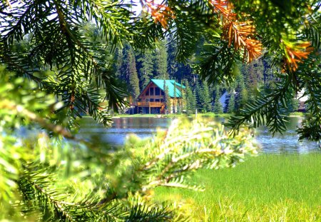 Lake cabin - calm, summer, cabin, grass, reflection, flowers, countryside, fresh, shore, riverbank, lake, nice, cottage, house, greenery, branches, trees, beautiful, lovely, lakeshore, river, nature, green, bright, clear, serenity