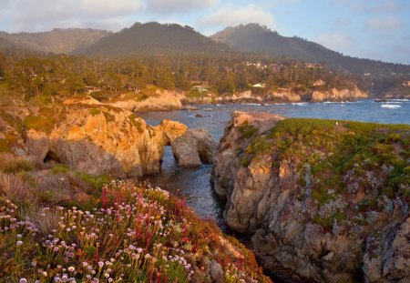 amazing coast - flowers, arches, shore, sea, rocks