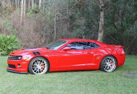 camaro ss - zl1, chevrolet, ss, camaro