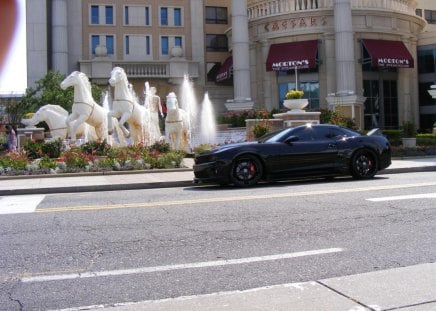 camaro black - ss, zl1, chevrolet, camaro