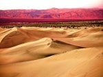 PINK MOUNTAIN DESERT