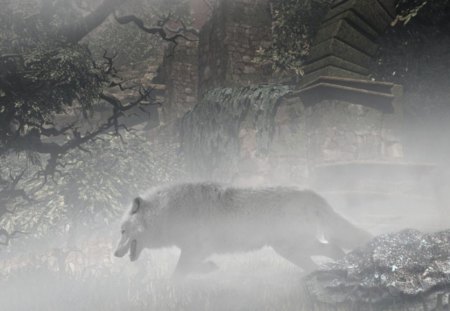 IN THE FOG ... - wolf, nature, animals, fog, wp, bw, silend