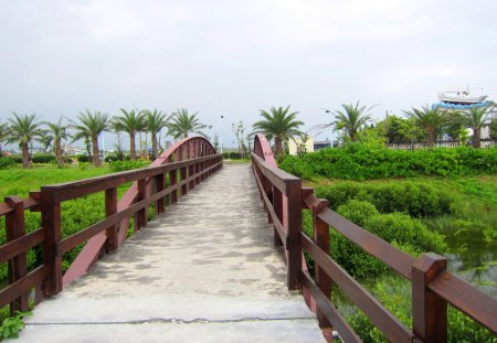 Bridge - plants, wetland, pond, bridge