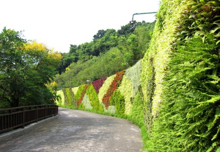 The floral wall displaying Trail - tree, floral wall displaying, trail, plants