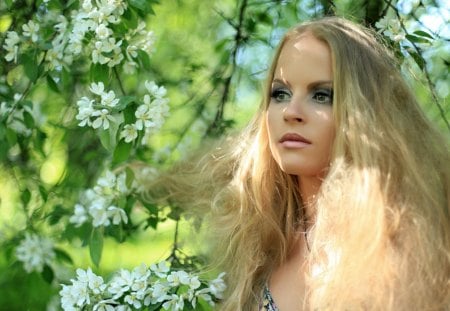 * Fairy * - beauty, stare, lips, hair, eyes, blond, spring, nature, blossom, green, fairy, tree, beautiful girl, flower