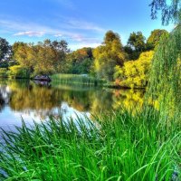 Lake Swamp