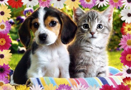 best flower friends - flowers, pets, animals, cute