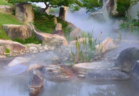 misty pool - grass, trees, water, rocks