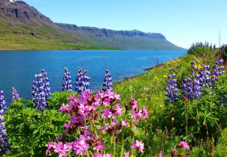 Blue river - nice, sky, fresh, freshness, riverbank, stream, summer, shore, lovely, nature, clouds, blue, river, brautiful, flowers, grass