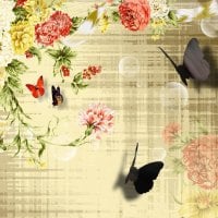 Vintage Roses and Shadow Butterflies