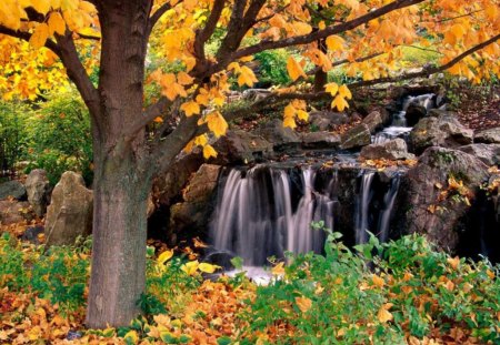 Autumn Park - nature, park, waterfalls, autumn