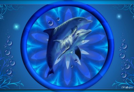 Beautiful Blue 1600x900 - dolphins, dolphin, marinelife, fish, animals