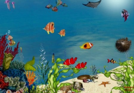 Busy Ocean 1280x1024 - fish, marinelife, aquarium, underwater