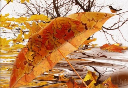 colorful autumn - yellow, umbrella, leaves, bird, foliage