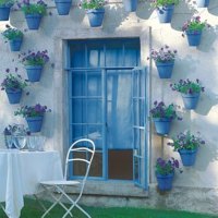 potted flowers