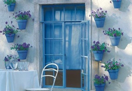 potted flowers - window, blue, beautiful, pots, flowers