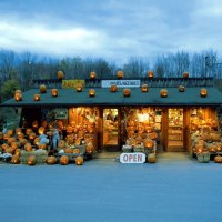 Jack OLantern Stand