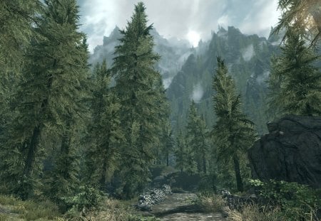 Skyrim: Into the forest - nature, scenery, forest, skyrim