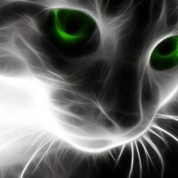 Spooky Cat