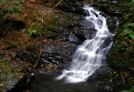 A Beatiful Waterfall - nature, forest, water, waterfall, rocks, adirondack mtns