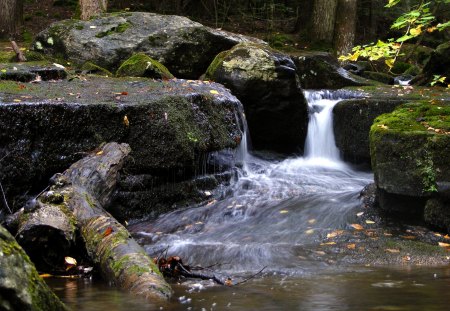 Just A Little Waterfall - water, nature, waterfall, forest, rocks