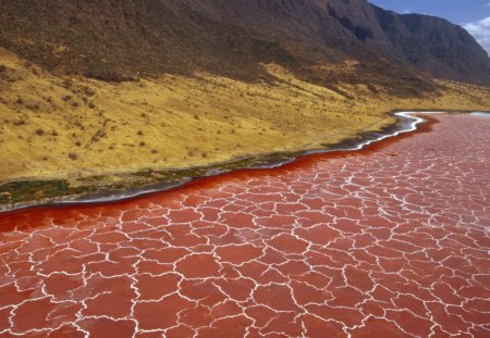 soda formation in lake natron tanzania - lake, mountain, minerals, formation