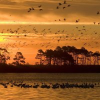 sunset at chincoteague wldlife refuge virginia