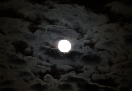 Moonlight - moon, night, sky, cloudy