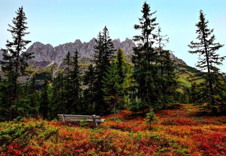 Autumn - beauty, sky, autumn, trees, peaceful, mountains, bench, autumn leaves, view, clouds, tree, grass, landscape, autumn splendor, lovely, nature, autumn colors, woods, forest, beautiful, leaves, splendor